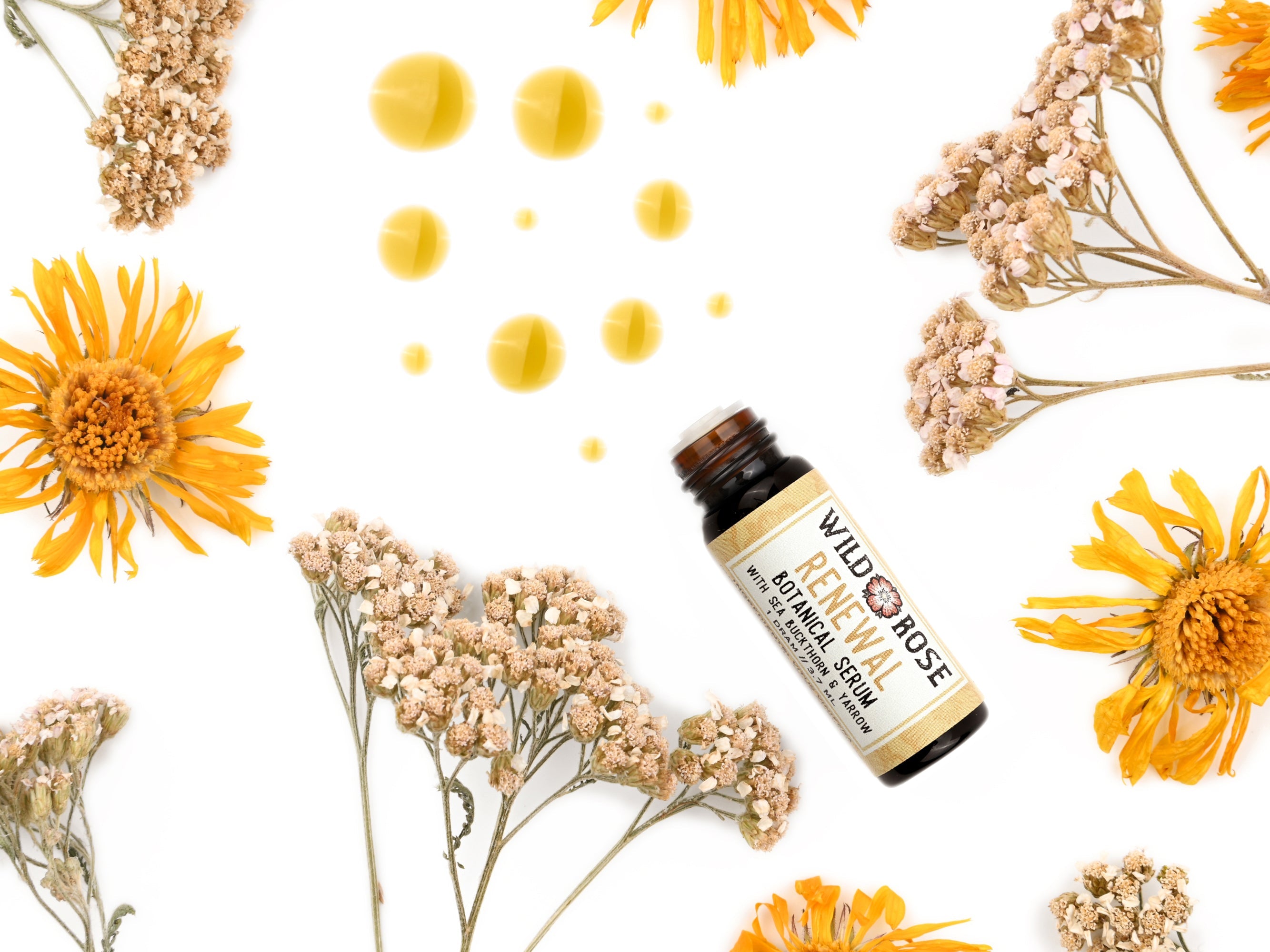 Renewal - Botanical Facial Serum