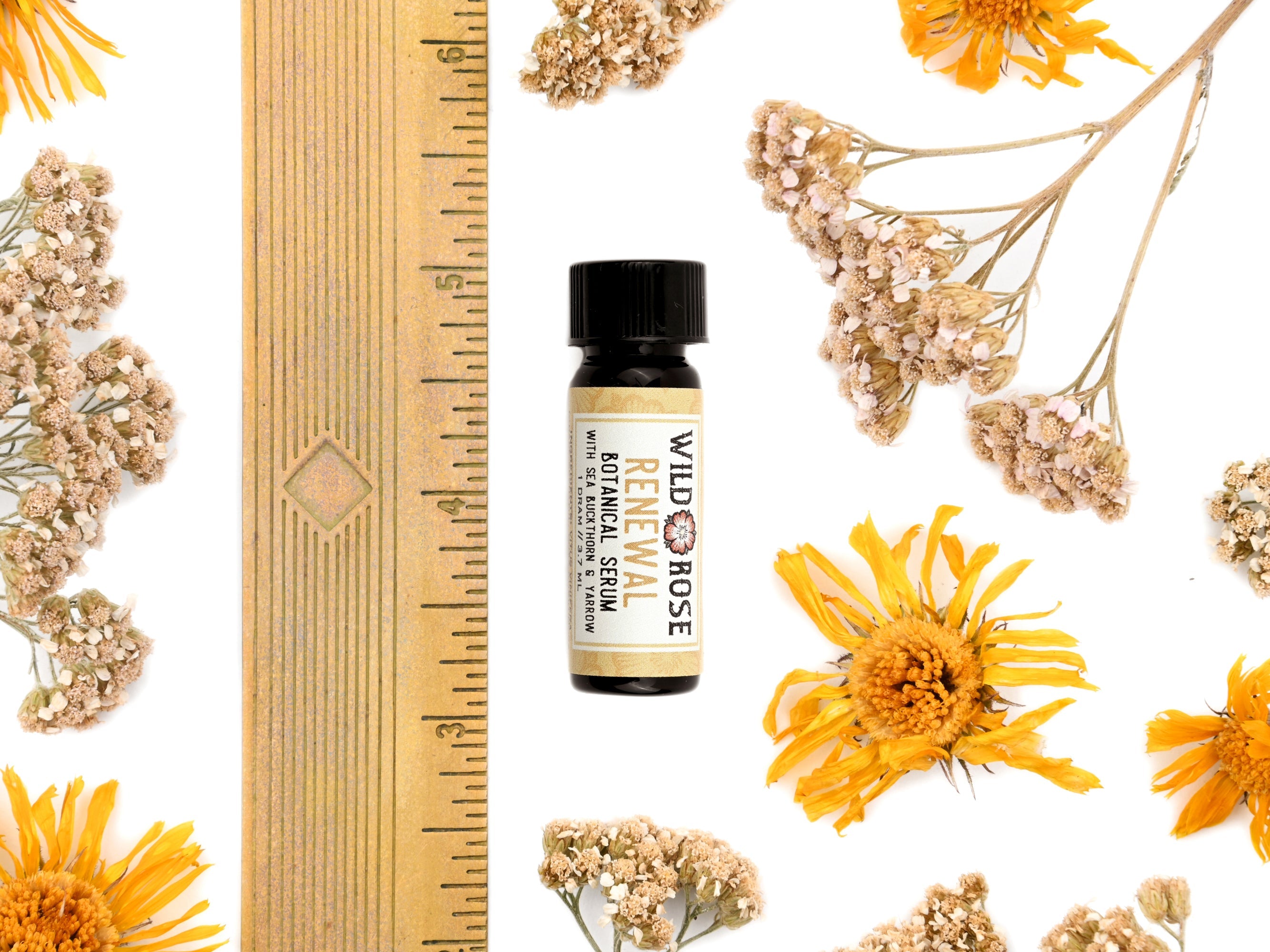 Renewal - Botanical Facial Serum