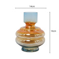 DecorBites™ Gradient Glass Vase for Stylish Flower Arrangements and Home Decor