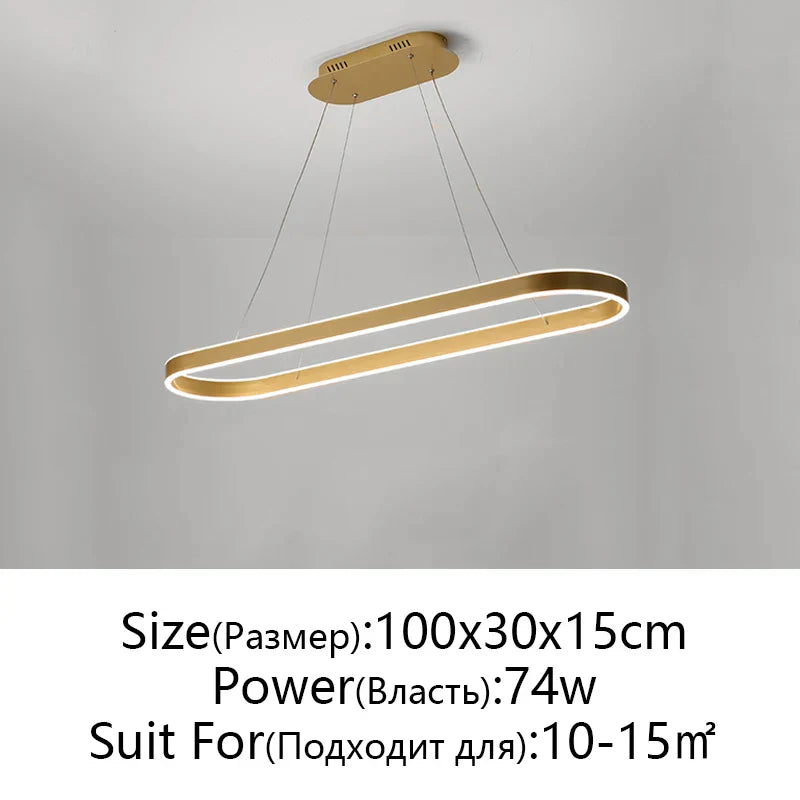 DecorBites™ LED Aluminum Ceiling Chandelier for Kitchen Living Room Modern Nordic Design