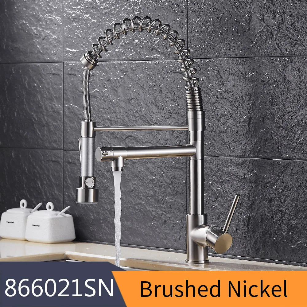 DecorBites™ Gold Spring Spout Kitchen Faucet - Single Pull Out Mixer Tap