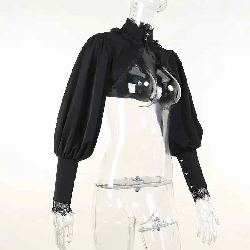 Gothic Lantern Sleeve Long Sleeve Crop Blouse