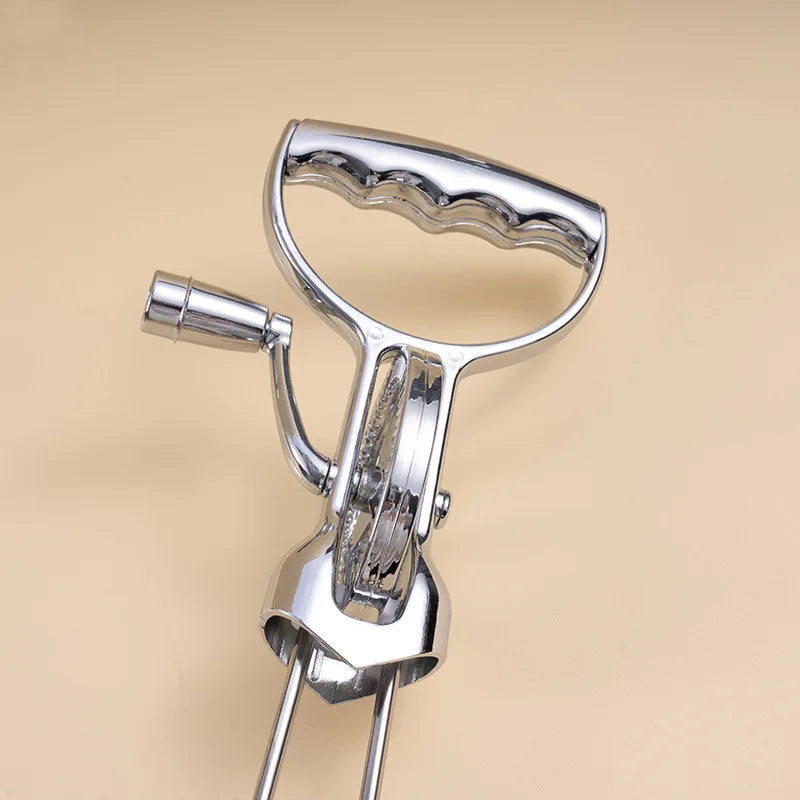 DecorBites™ Egg Beater Balloon Whisk Mixer for Baking Kitchen Utensil