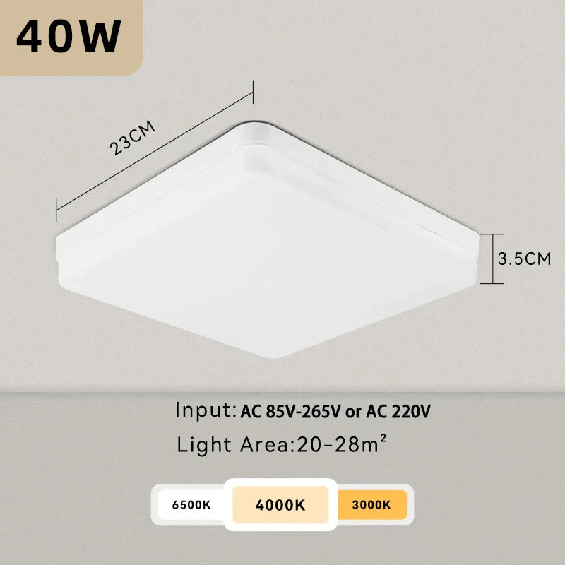 DecorBites™ LED Ceiling Light Bathroom Chandelier Panel Fixture for Home Decor Lighting