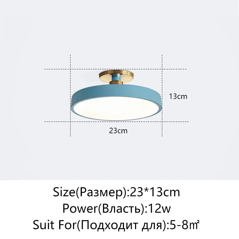 DecorBites™ LED Ceiling Lamp for Living Room Study Child Bedroom Indoor Lighting