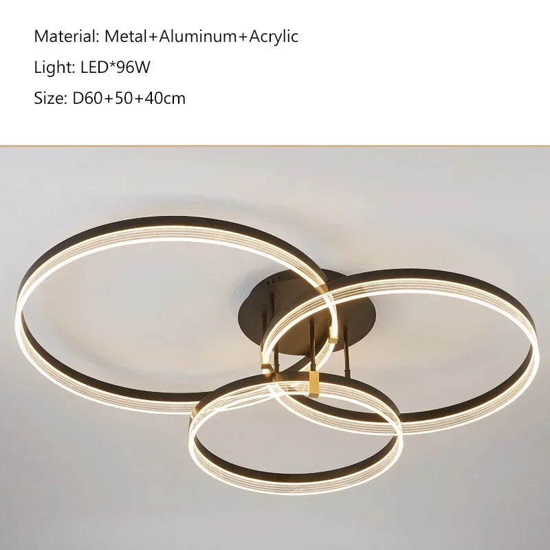 Modern gold acrylic round ring ceiling light for living room