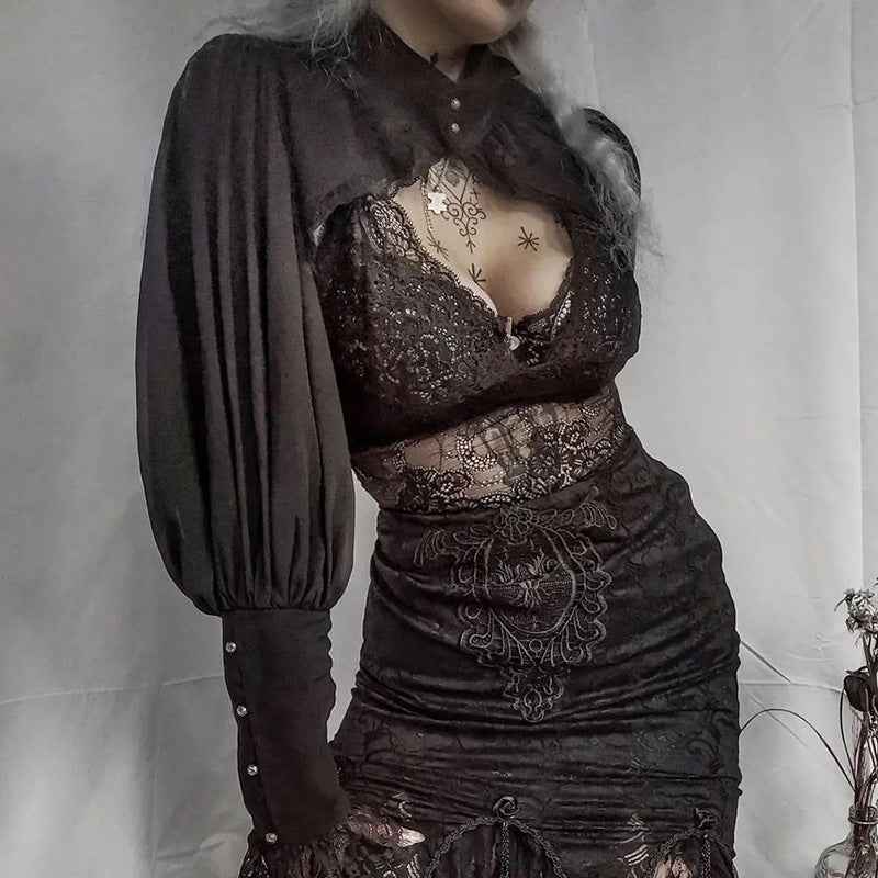 Gothic Lantern Sleeve Long Sleeve Crop Blouse