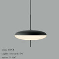 DecorBites™ Iron Pendant Light for Bar and Restaurant Design, Modern Creative Lighting
