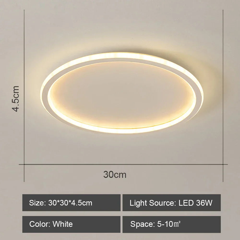 DecorBites™ LED Ceiling Light for Modern Living Room Bedroom Lighting