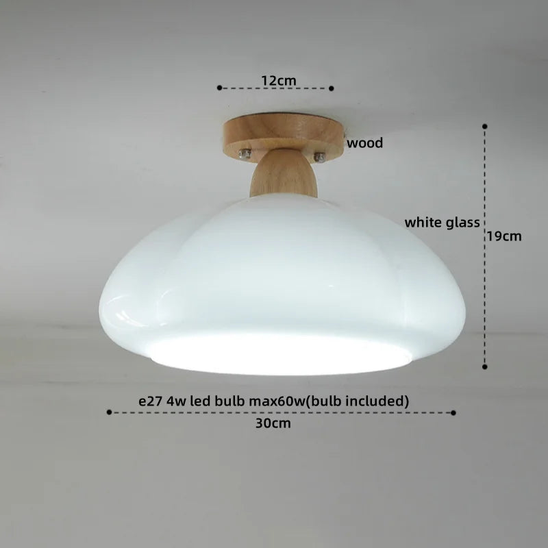 DecorBites™ Glass Copper LED Ceiling Light Fixture for Home Decor Porch Hallway Room