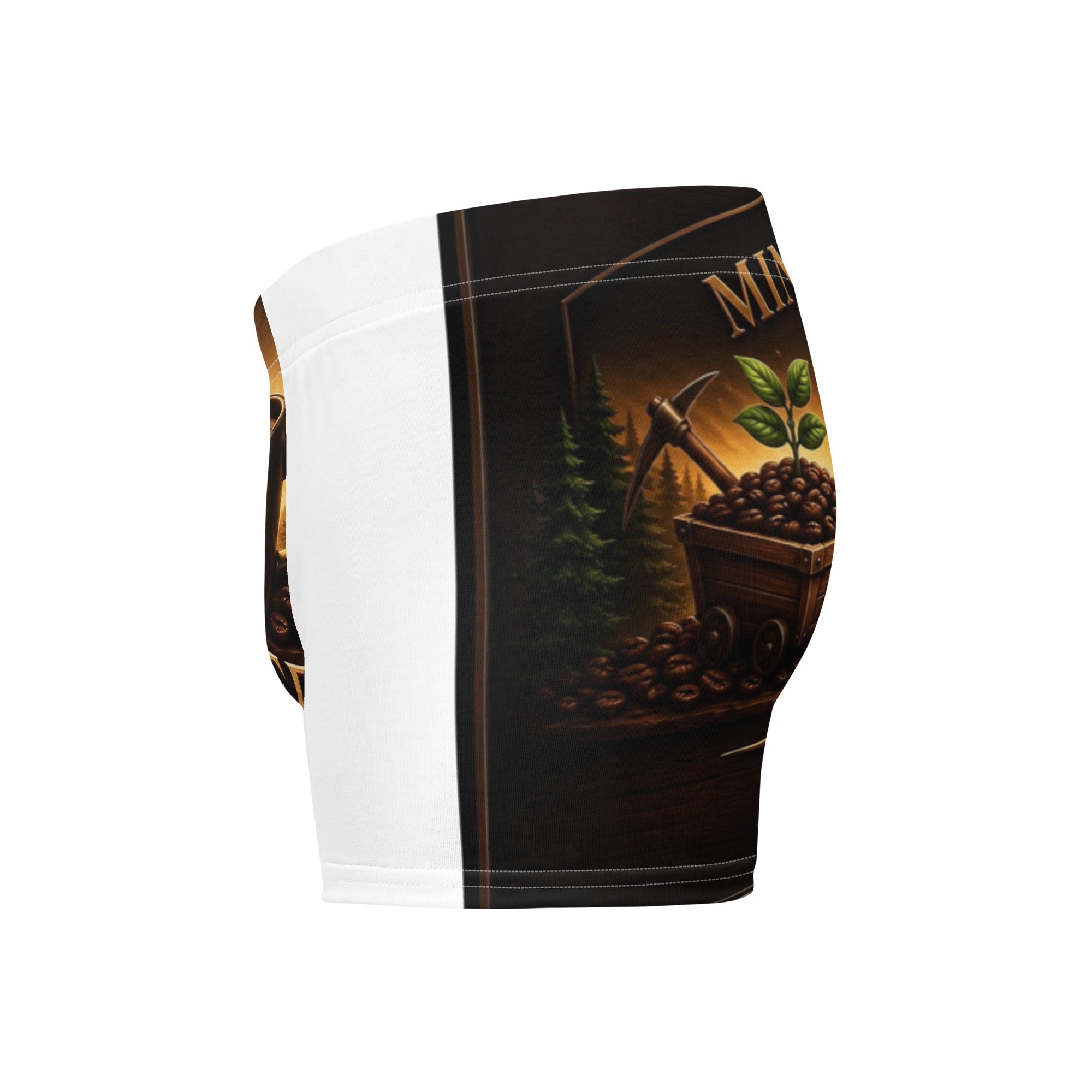 Boxer Briefs