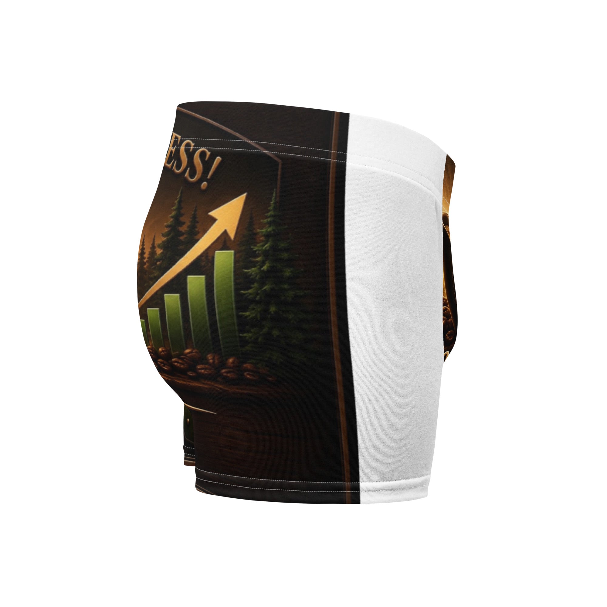 Boxer Briefs