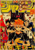 Anime volleyball boy poster prints orange and black bedroom decor