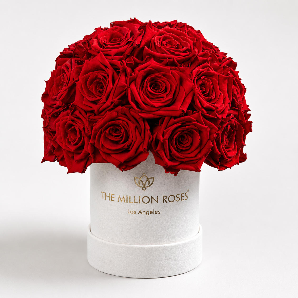 Essence Beige Suede Superdome Box | Red Roses