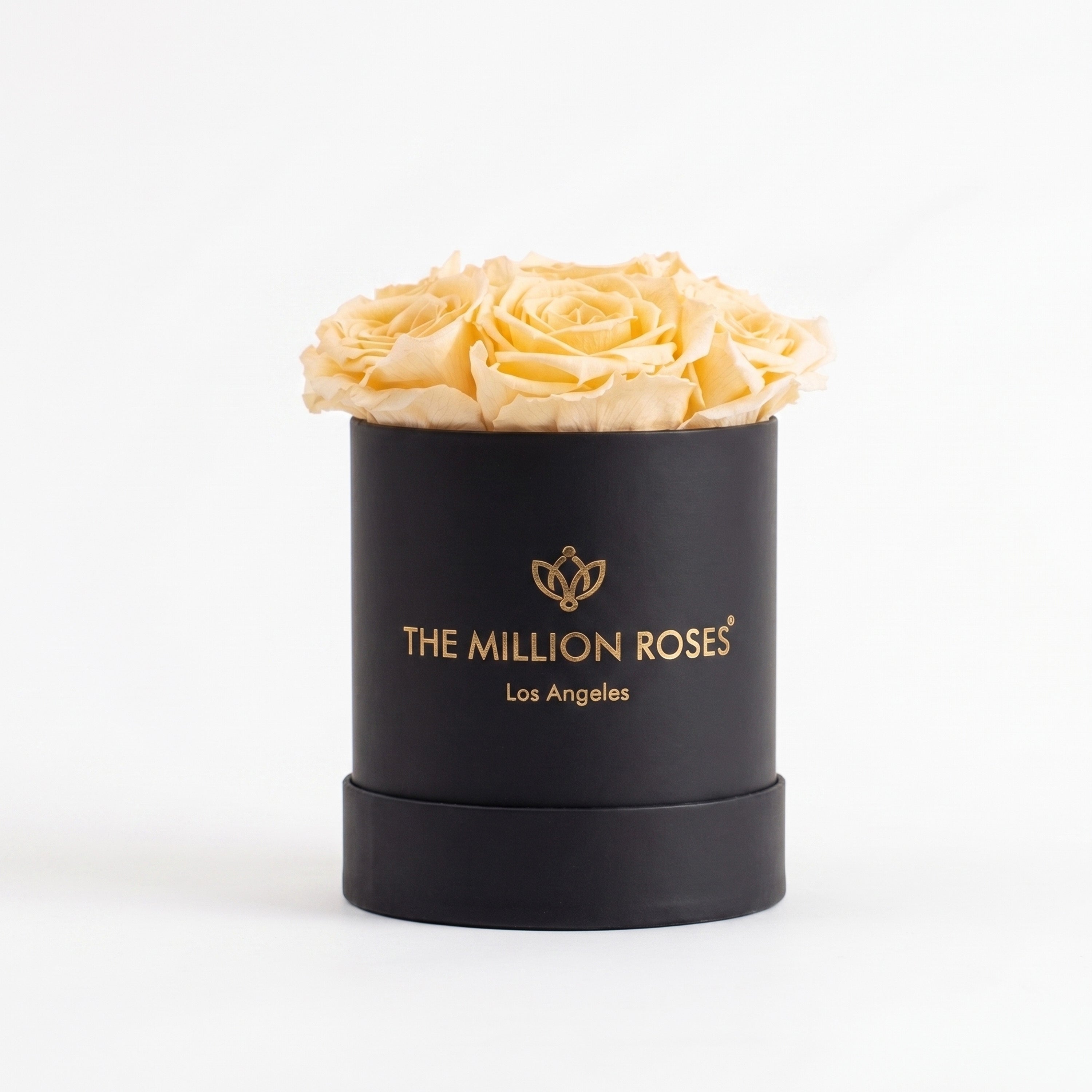 Essence Black Box | Ivory Roses