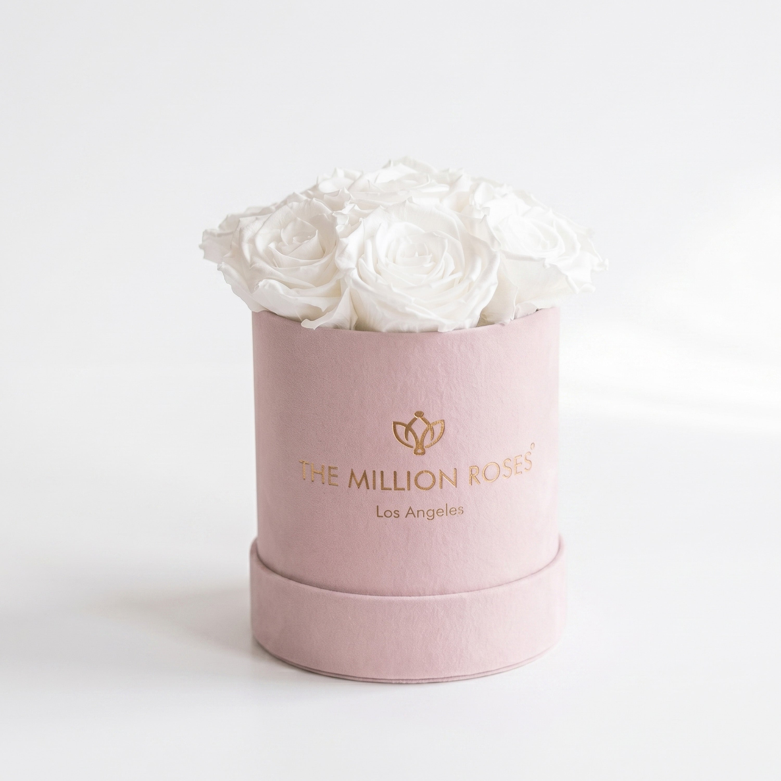 Essence Light Pink Suede Box | White Roses
