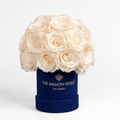 Essence Royal Blue Suede Superdome Box | White Roses