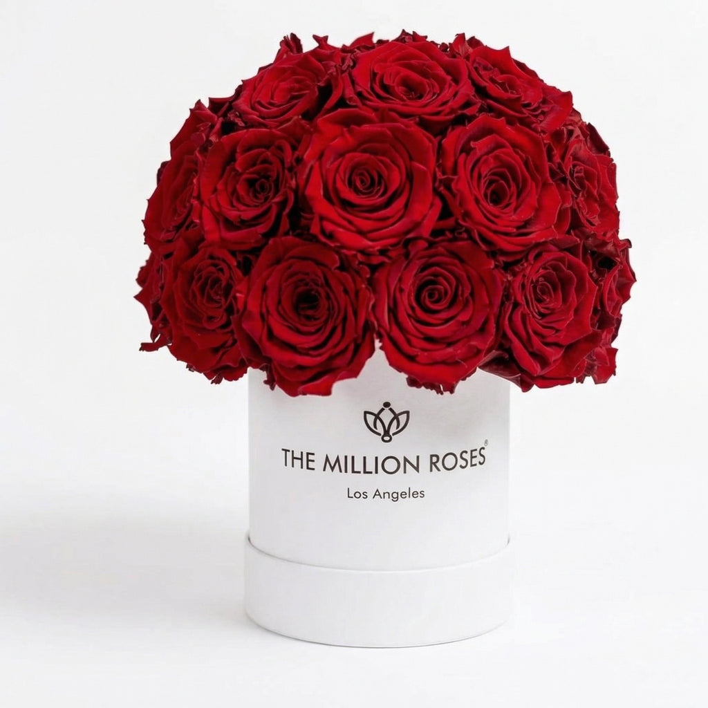 Essence White Superdome Box | Red Roses