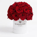Essence White Superdome Box | Red Roses