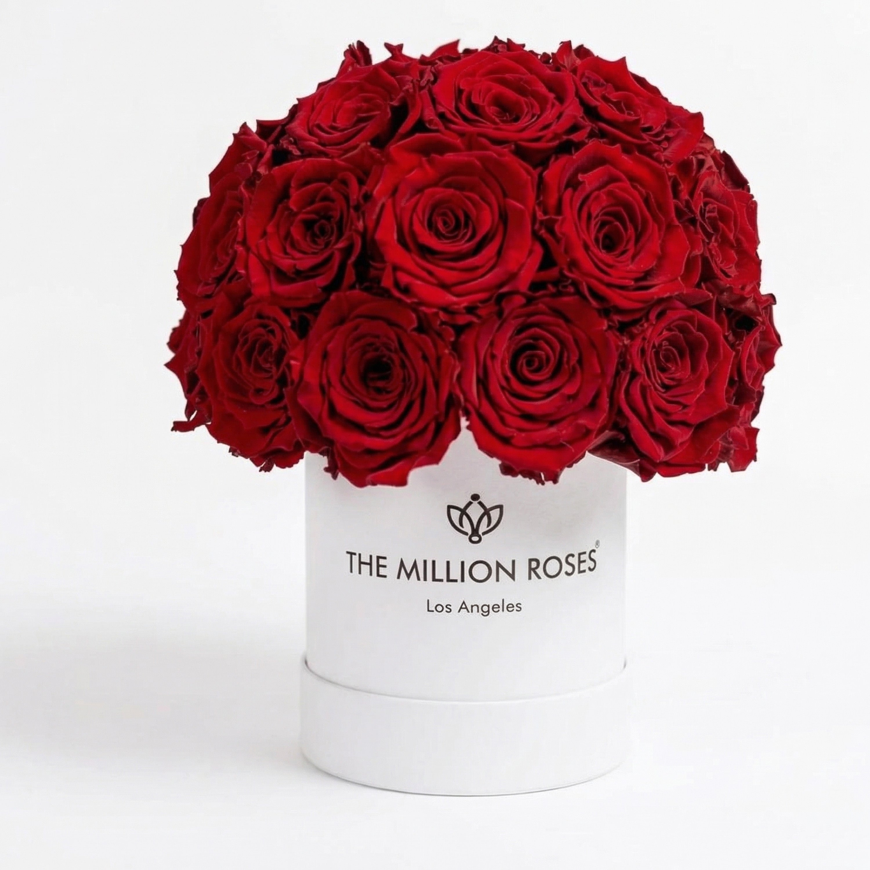 Essence White Superdome Box | Red Roses