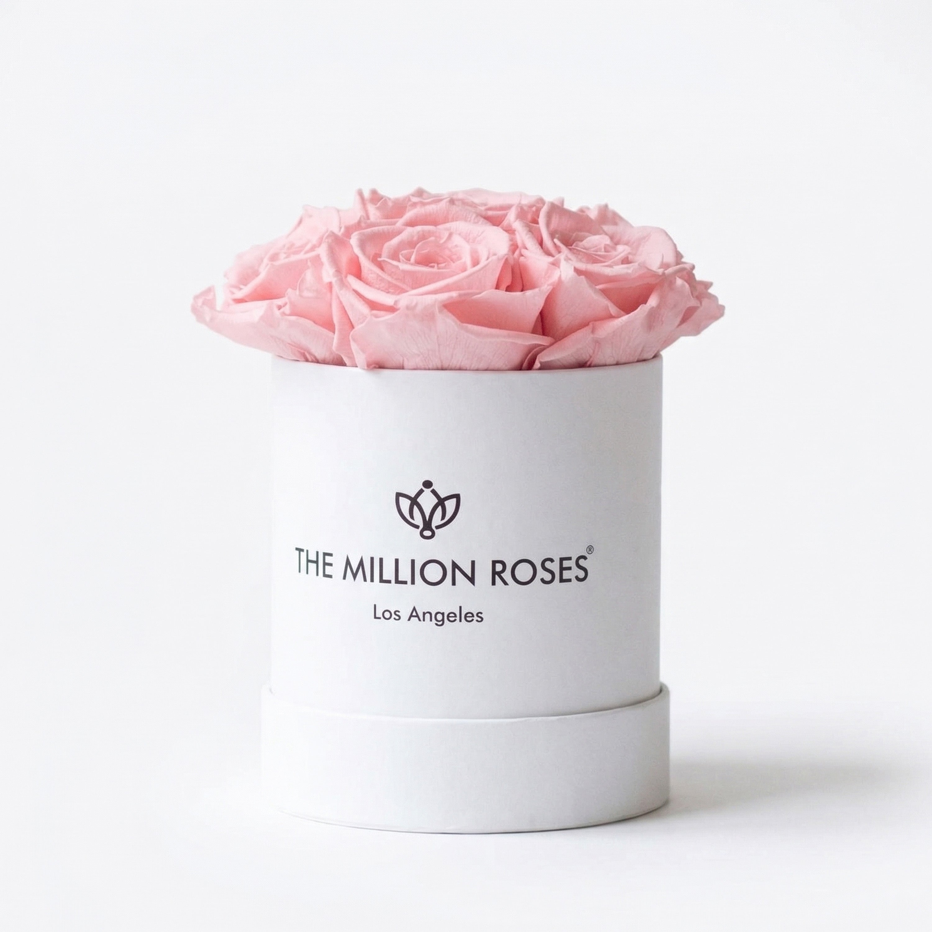 Essence White Box | Light Pink Roses