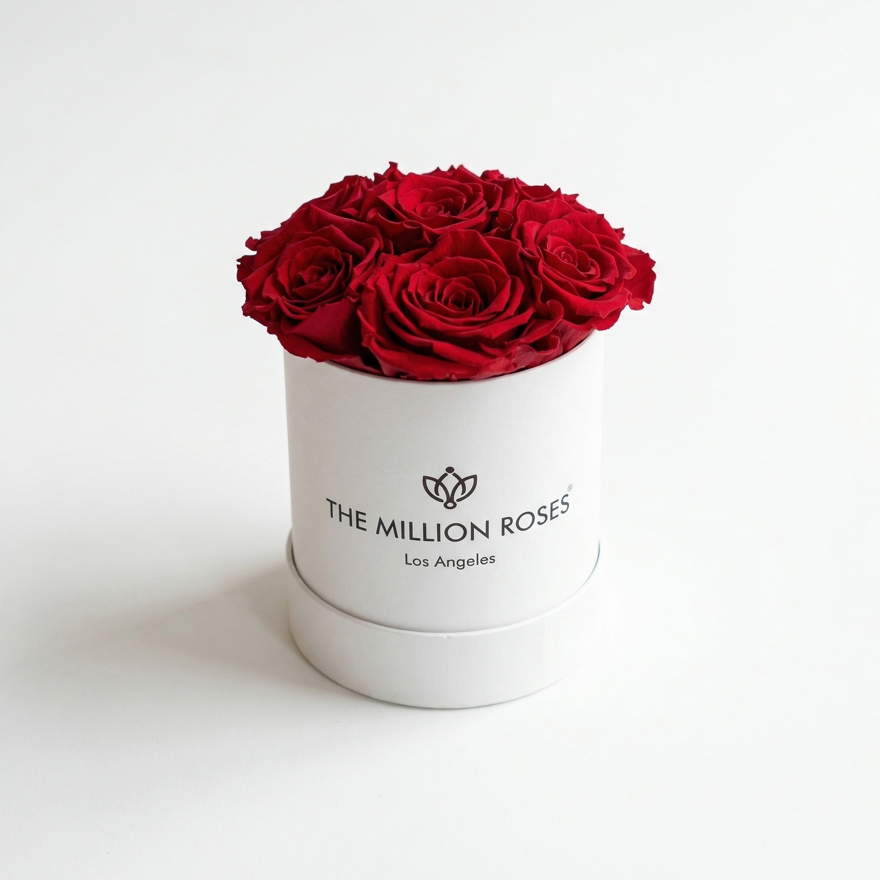 Essence White Box | Red Roses