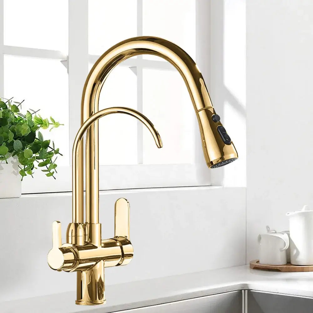 Black & golden pull out filter kitchen faucet with water filter