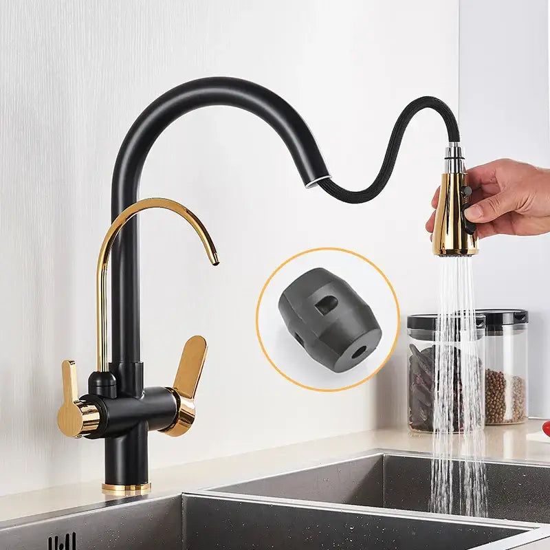 Black & golden pull out filter kitchen faucet with water filter