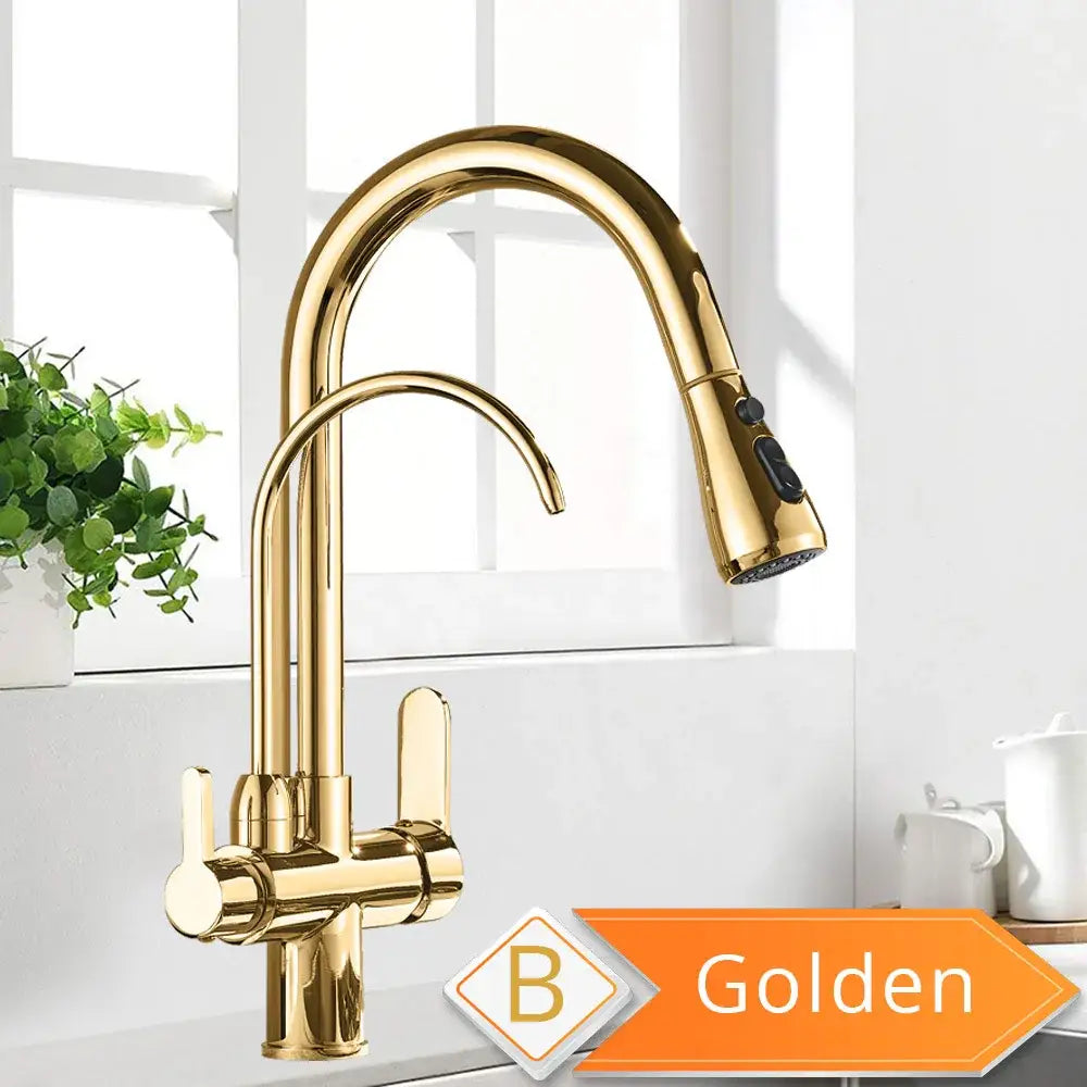 Black & golden pull out filter kitchen faucet with water filter