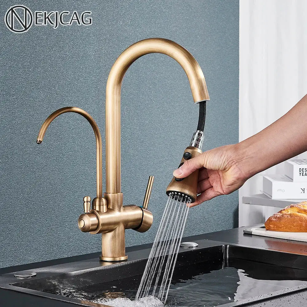 Brass filter kitchen faucet with rotatable spout and pull down sprayer