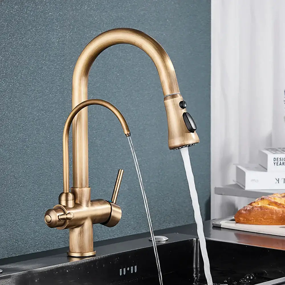 Brass filter kitchen faucet with rotatable spout and pull down sprayer