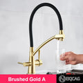 Brushed gold and black kitchen faucet with dual handles and filter
