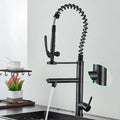 Brushed nickel spring kitchen faucet with pull down spray head