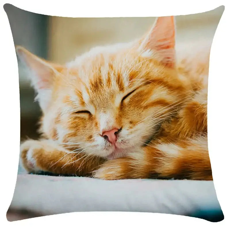Bubble black cats white square cushion cover living room pillow case