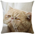 Bubble black cats white square cushion cover living room pillow case