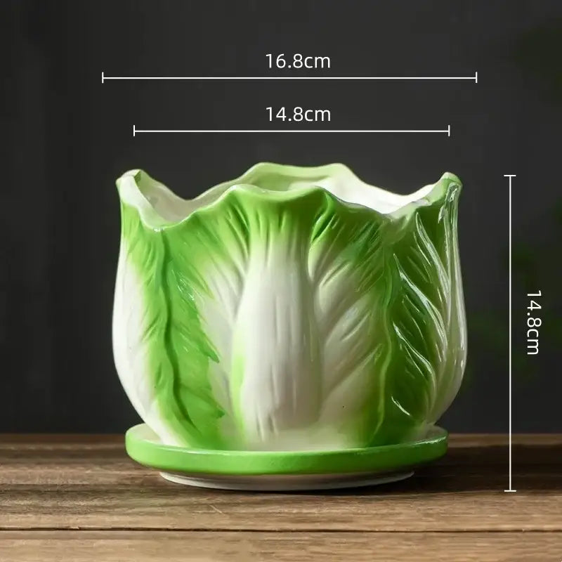 Creative green & white ceramic cabbage flowerpot – indoor garden basin