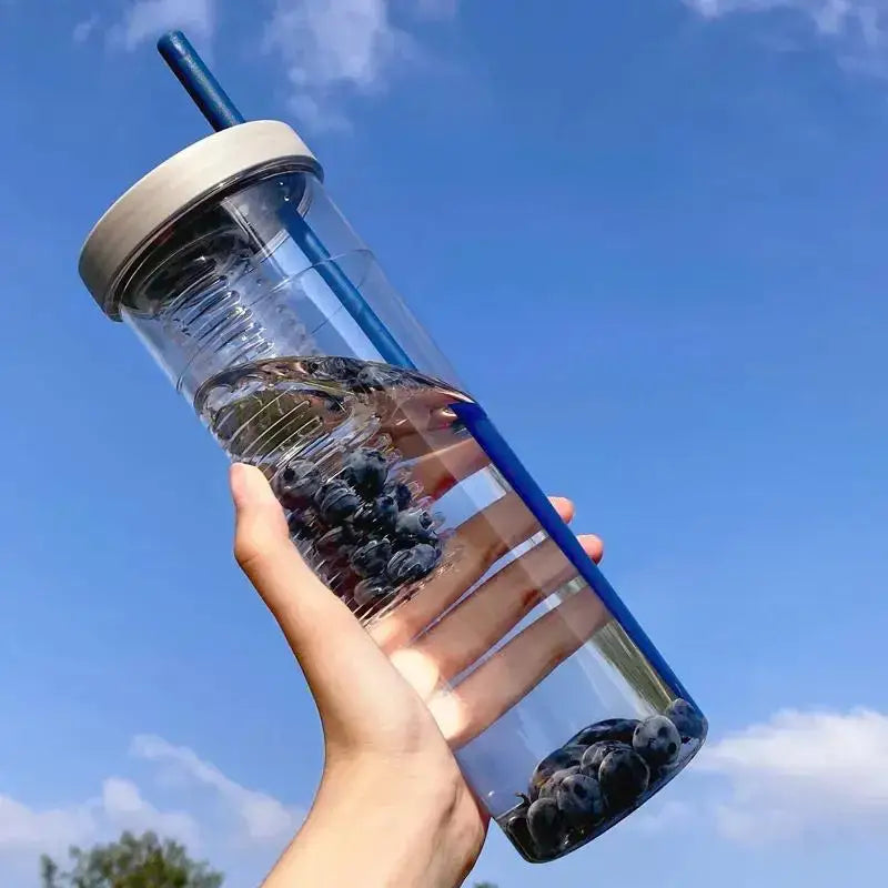 Modern transparent filtered water bottle fruit infuser kitchen sport