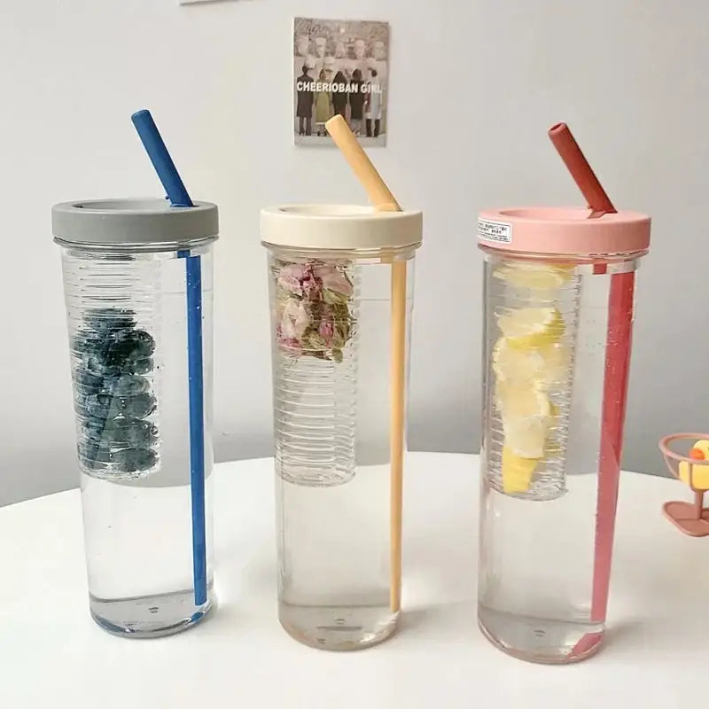 Modern transparent filtered water bottle fruit infuser kitchen sport