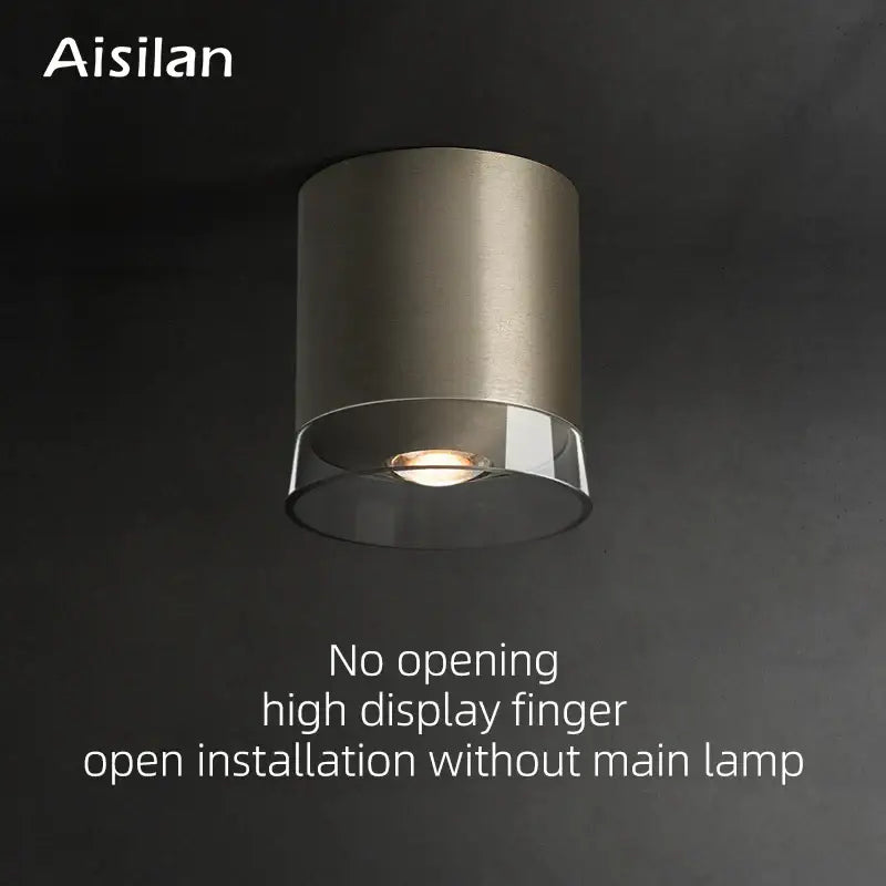 Modern brushed nickel led downlight living room cylindrical light