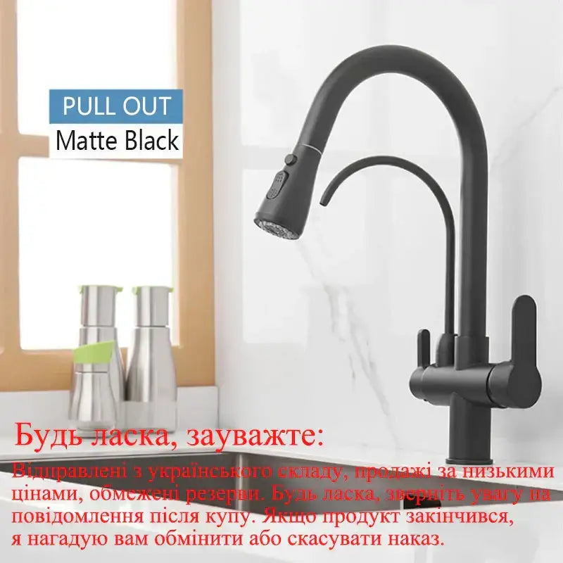Modern black & gold filter kitchen faucet with dual spout