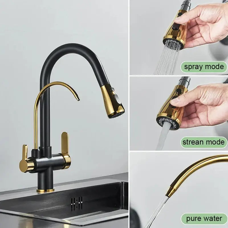 Modern black & gold filter kitchen faucet with dual spout