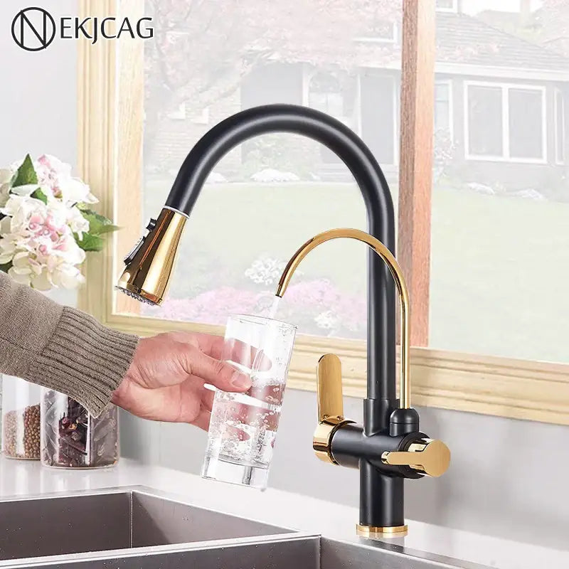 Modern black & gold filter kitchen faucet with dual spout