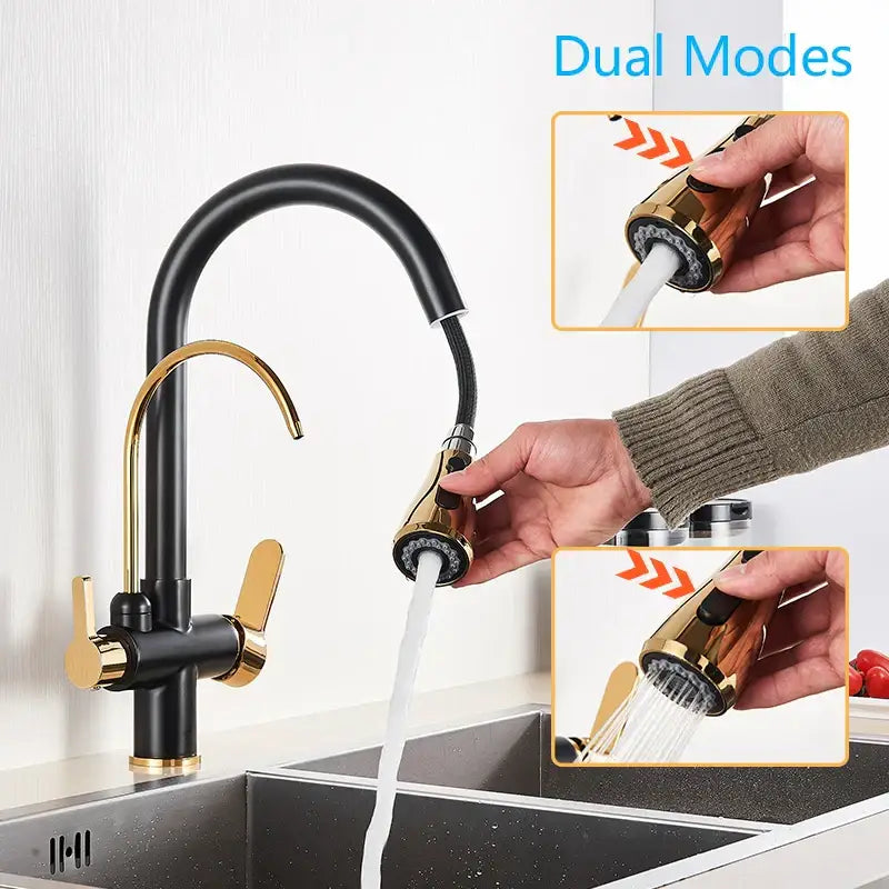 Modern black & gold filter kitchen faucet with dual spout