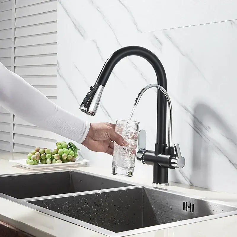 Modern black & gold filter kitchen faucet with dual spout