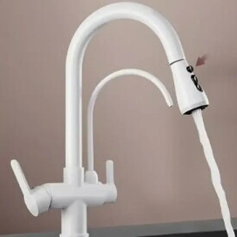 Modern black & gold filter kitchen faucet with dual spout