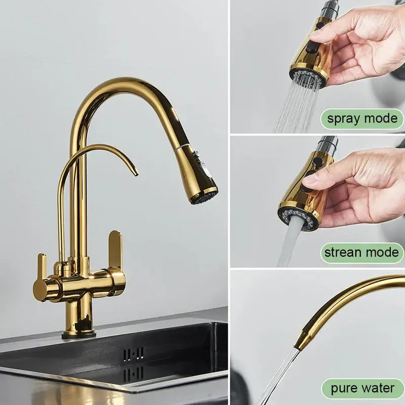 Modern black & gold filter kitchen faucet with dual spout