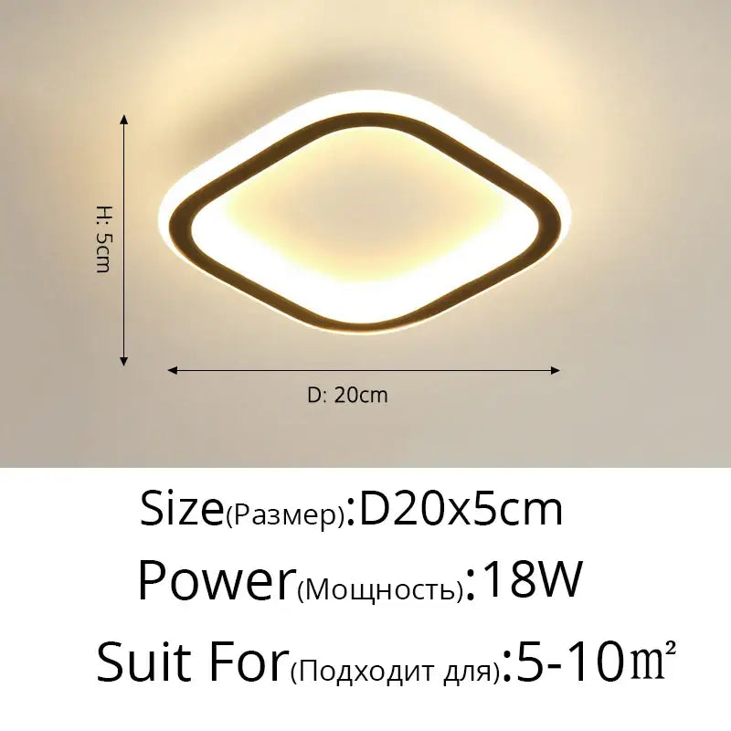 Modern circular black & white led ceiling light for entryway