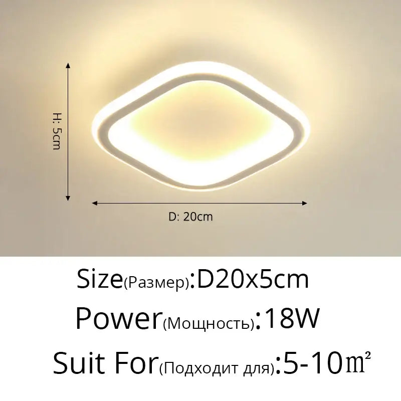 Modern circular black & white led ceiling light for entryway