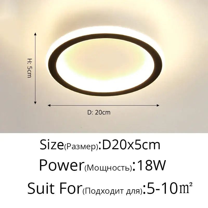 Modern circular black & white led ceiling light for entryway