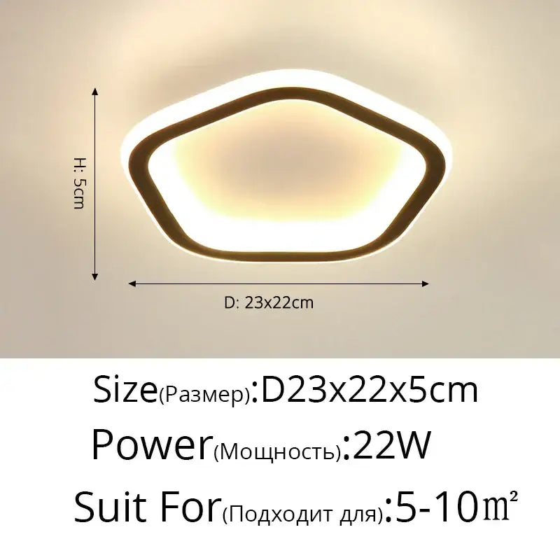 Modern circular black & white led ceiling light for entryway